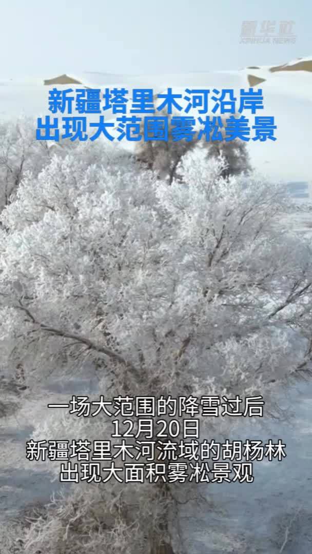 新疆塔里木河沿岸出现大范围雾凇美景
