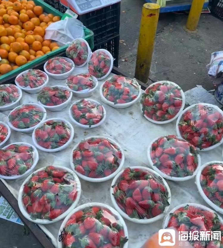 济南七里堡蔬菜市场正在售卖的草莓，一盆约1斤-2斤