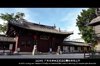 广东佛教“一寺一志”“一寺一馆”“一寺一树”活动纪实