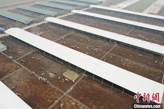 河北任泽区“生态循环种养”畜牧业年产值达6.12亿元