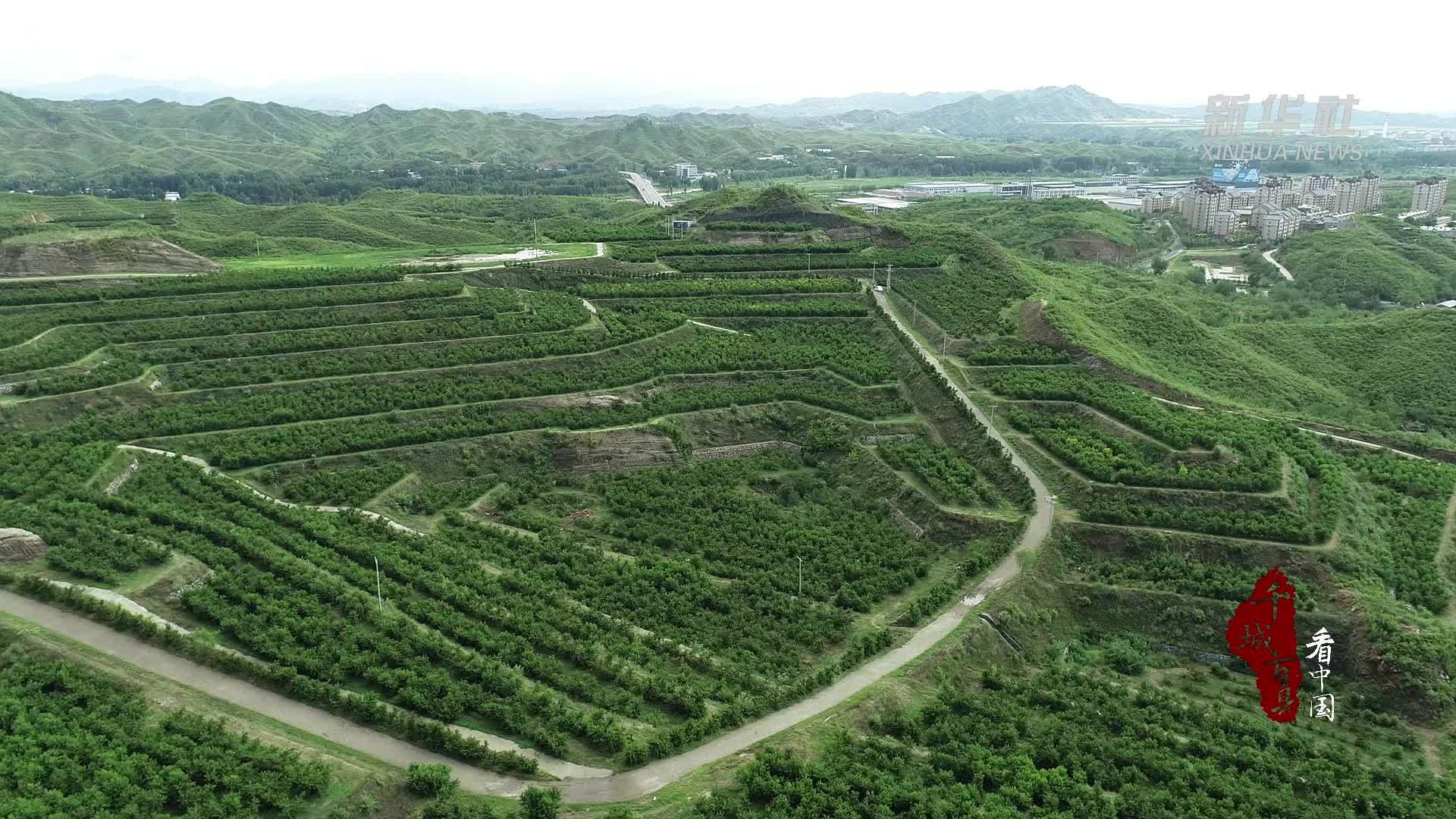 千城百县看中国｜河北阜平：壮大富民产业 助推乡村振兴