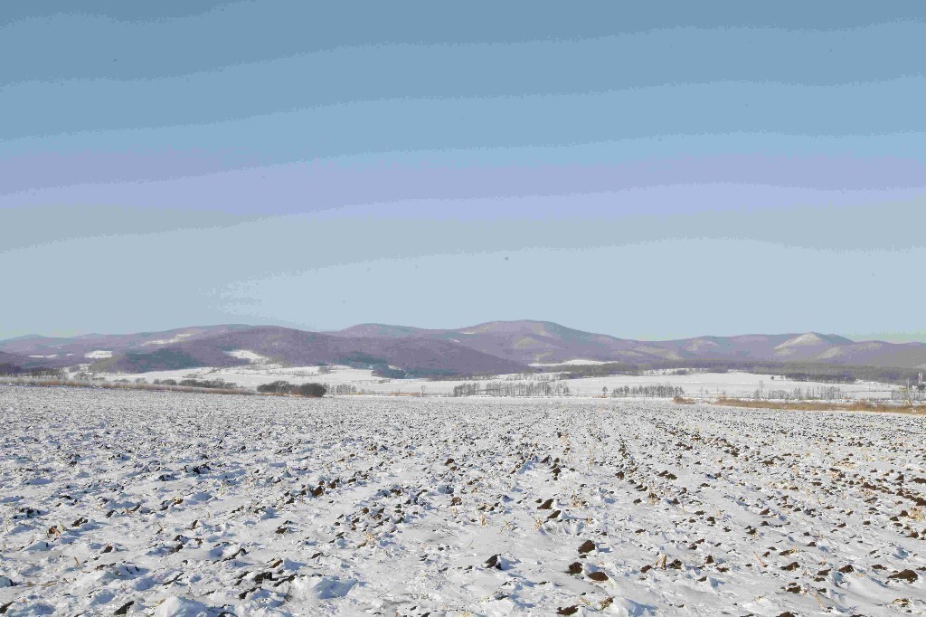 发现足迹的现场