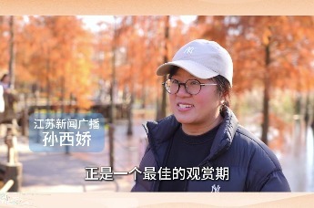 池杉红了、候鸟翩跹~来安池杉湖湿地公园的“油画世界”等你来探索！