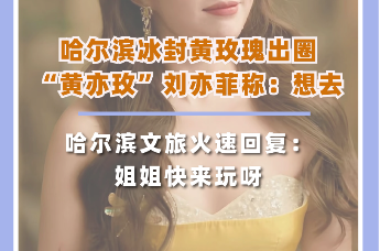 哈尔滨限定冰封黄玫瑰出圈，“黄亦玫”刘亦菲称：想去！