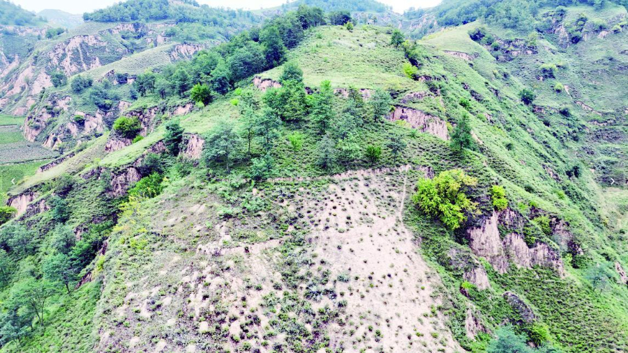 寨依山遗址。（延安市文物研究院供图）