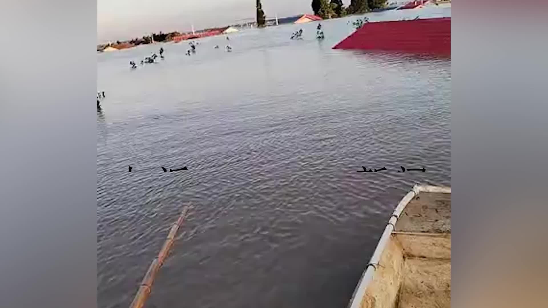 年终回访｜重返洞庭湖被淹村庄：65岁村民早早签了搬迁协议，“不想再经历这样的恐惧”