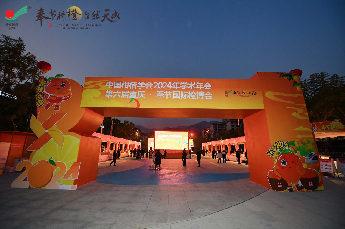 奉节脐橙产业,未来可期。主办方供图