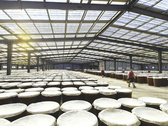 在位于九台区东湖街道的田野泉酿造有限公司生产车间，覆盖着白布的酱缸整齐摆放。