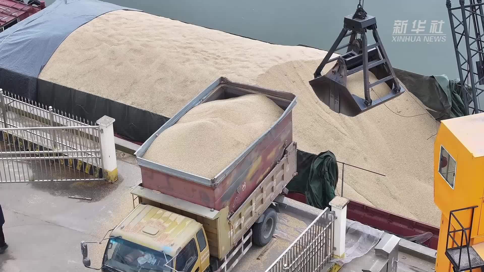 江苏南通:“科技储粮”守牢粮食安全_凤凰网视频_凤凰网