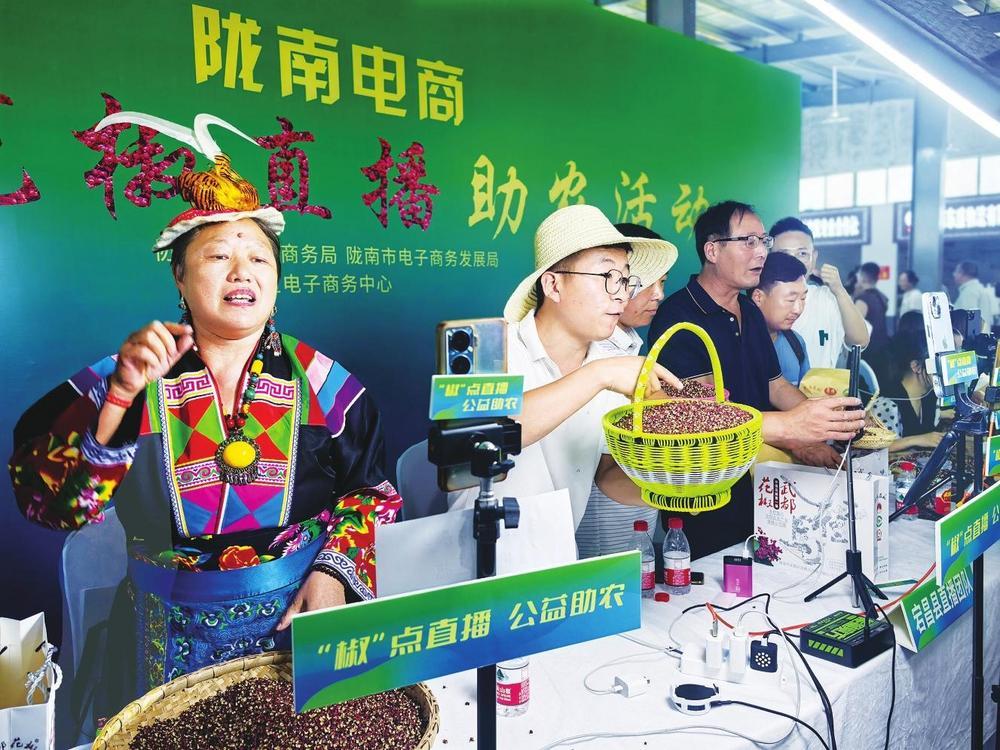 电商助推陇南特产走向全国