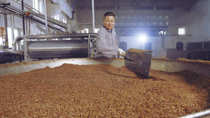 榆树钱酒业酿酒师傅进行装甑和起窖工作。 张欣禹 摄