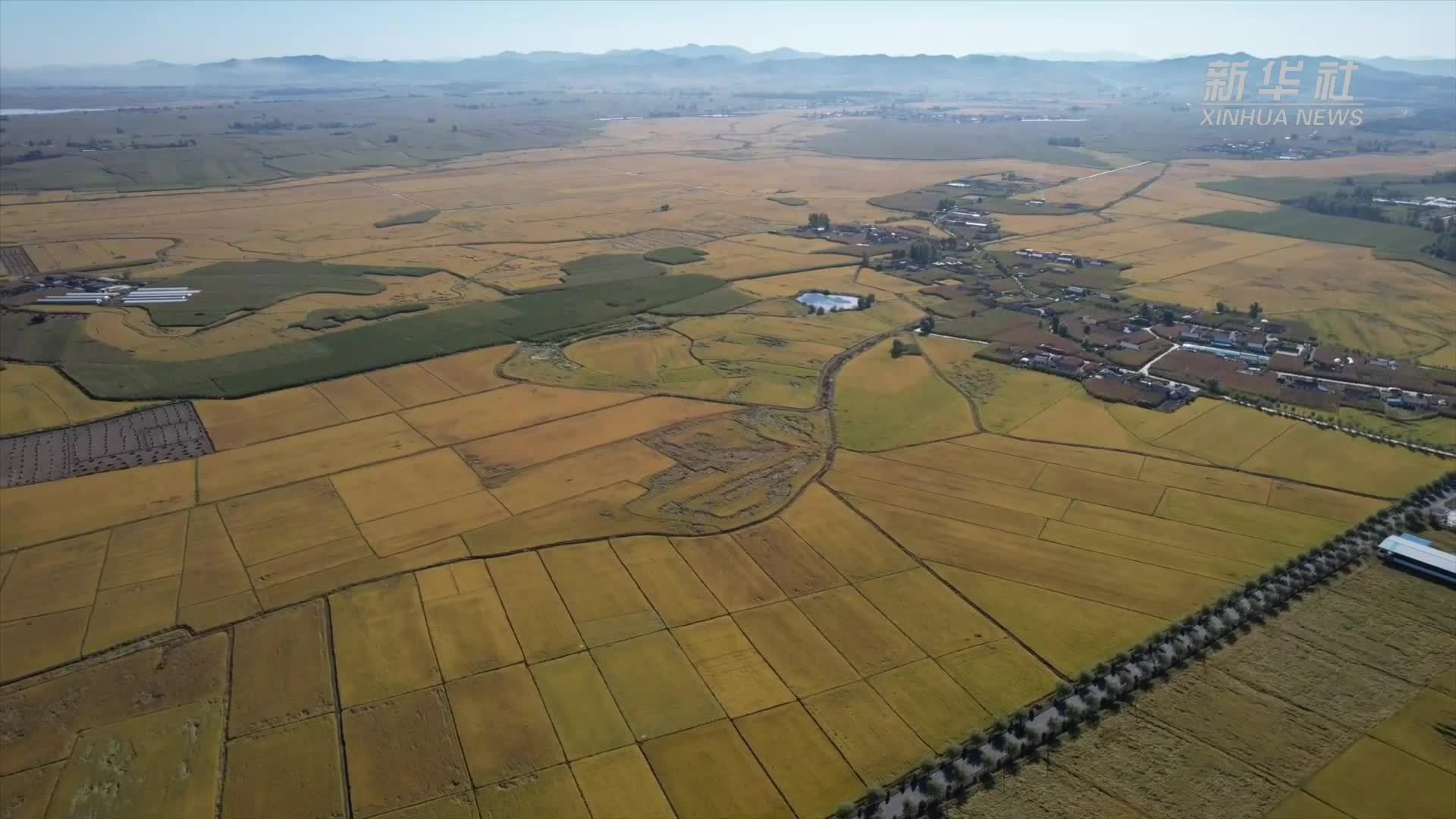 吉林：粮食产量首次跨上850亿斤台阶