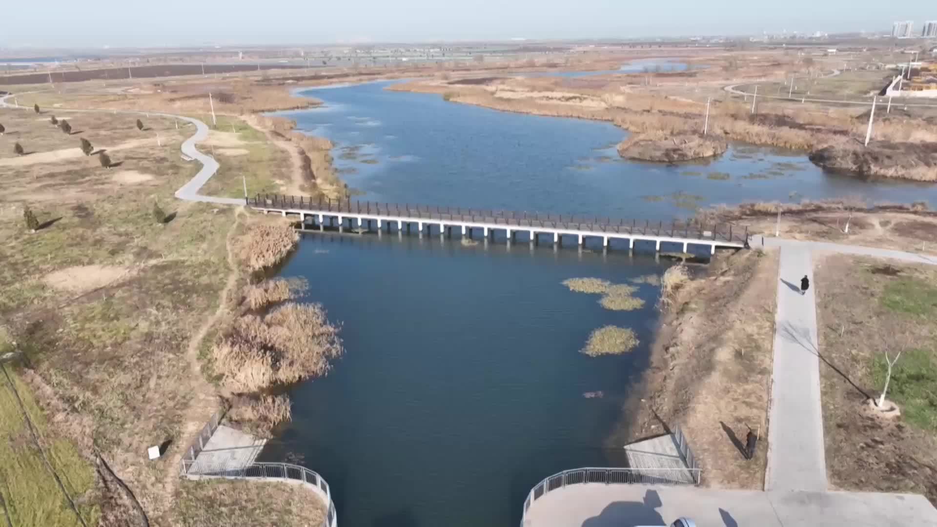 千城胜景｜河北藁城：周汉河湿地水鸟嬉戏