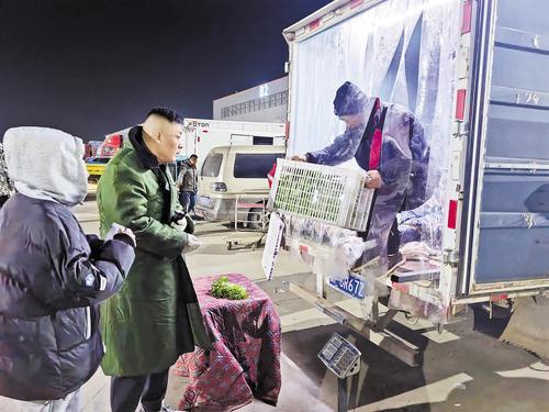 12月6日凌晨4点，首衡高碑店市场助农专区，菜农正在搬运蔬菜。 本报记者 潘文静摄