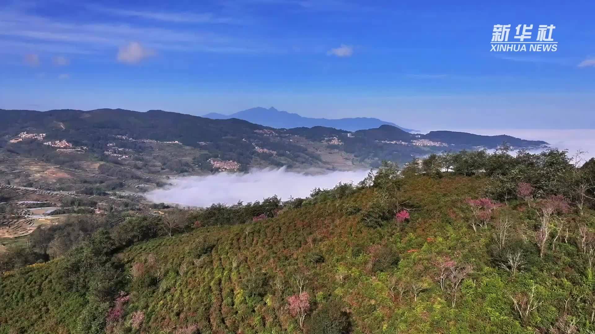 探秘“大地指纹”——穿越机哈尼梯田掠影