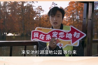 周末或假期逃离都市的喧嚣 打卡来安池杉湖湿地公园