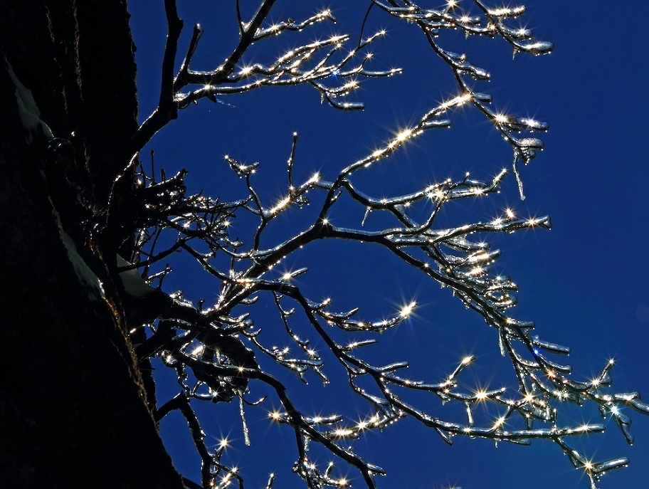 倒计时2天！一组图片抢先看“三清天下秀”