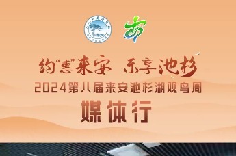 约“惠”来安 乐享池杉丨2024第八届来安池杉湖观鸟周媒体行完美收官
