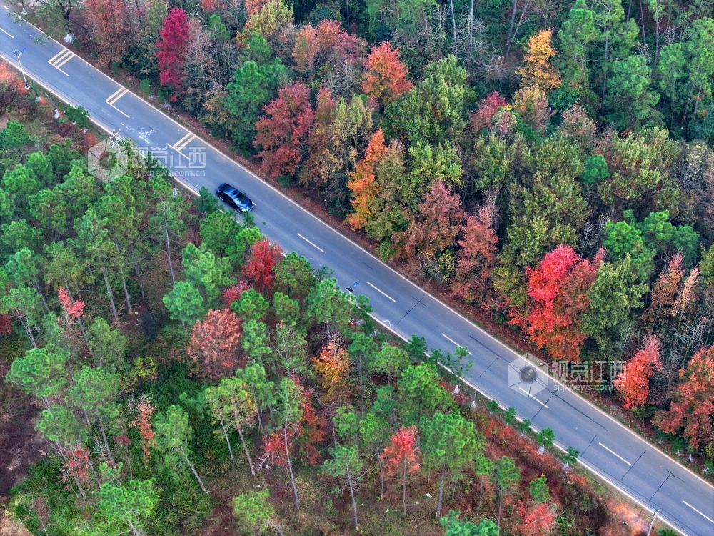 路畅促发展(图)