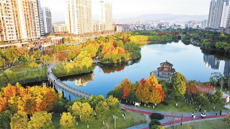 宁都县：生态公园冬景如画（图）