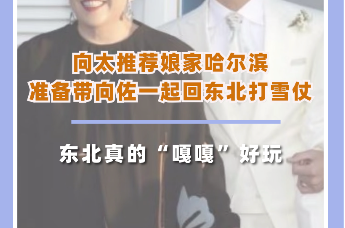 向太大力推荐娘家哈尔滨，想带向佐回东北打雪仗