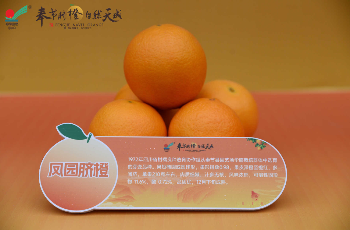 展示的脐橙相关品种——凤园脐橙。主办方供图