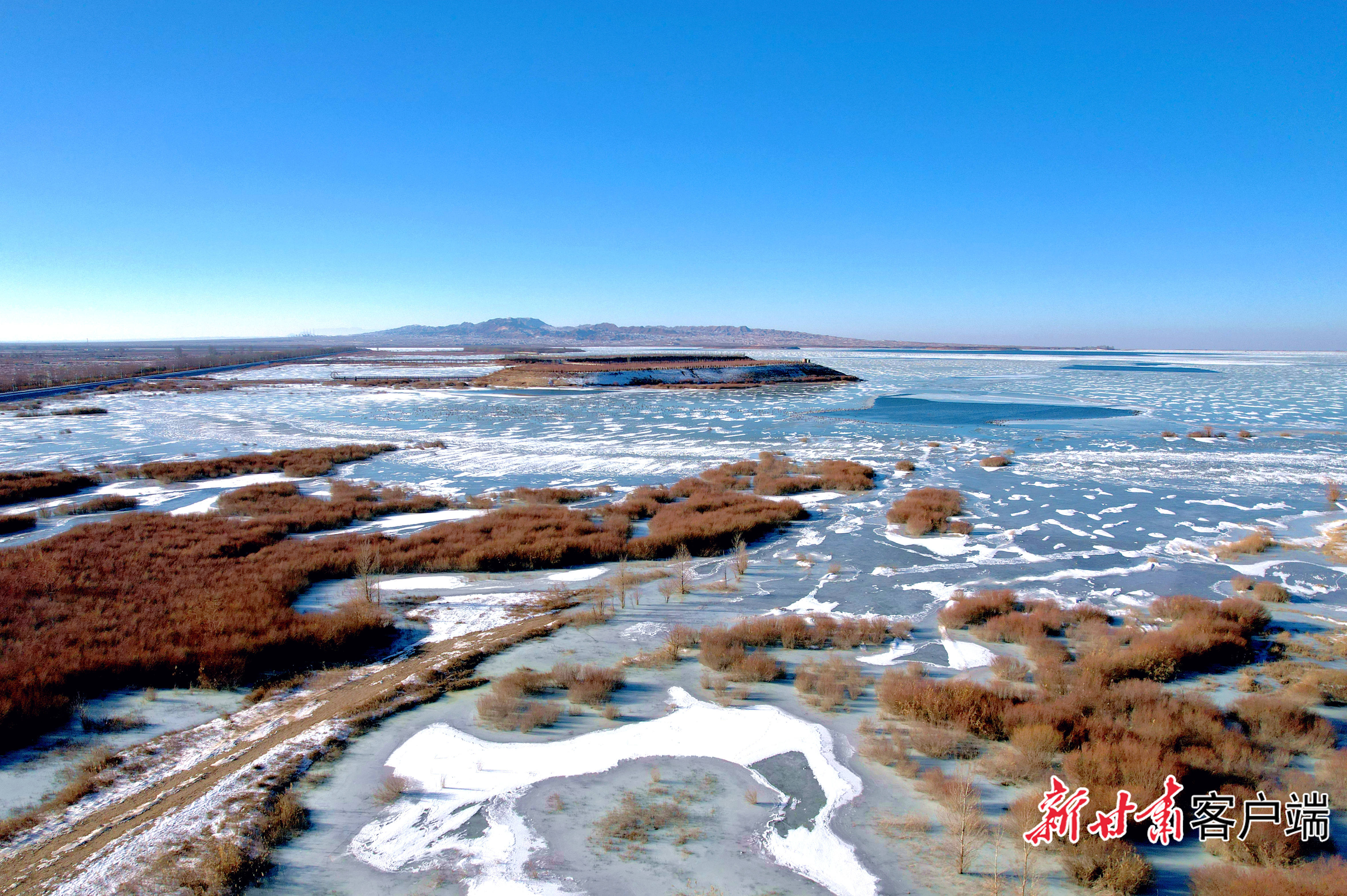 水草与冰面相映成景