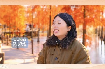 这里湖光水色 池杉五彩斑斓 等你来打卡~
