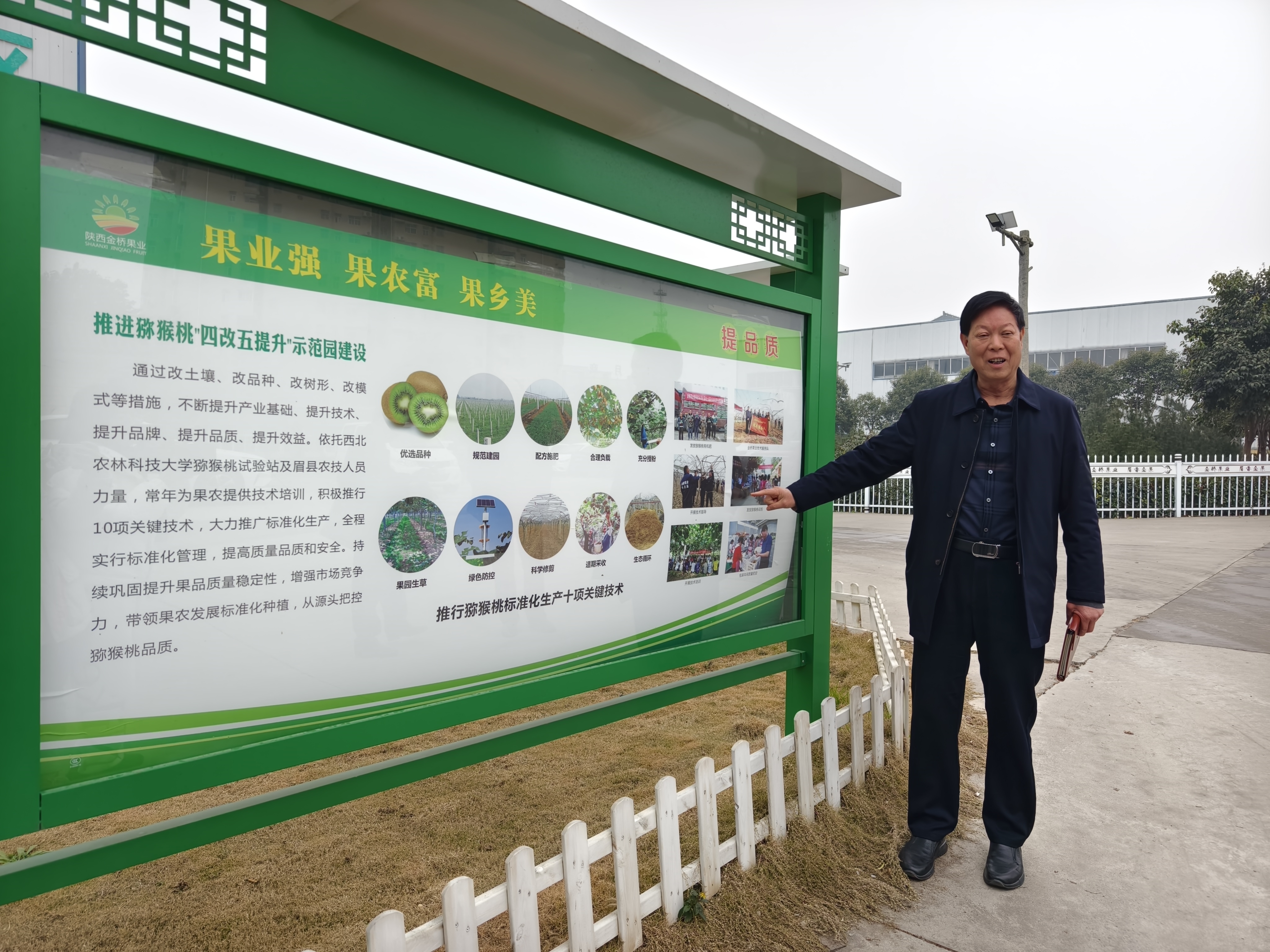 高质量发展看眉县丨科技赋能乡村振兴 草莓与猕猴桃产业的绿色发展