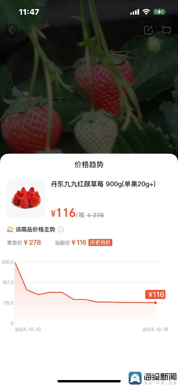 盒马鲜生App显示，丹东九九红颜草莓900克当前价116元是历史低价，常卖价是278元