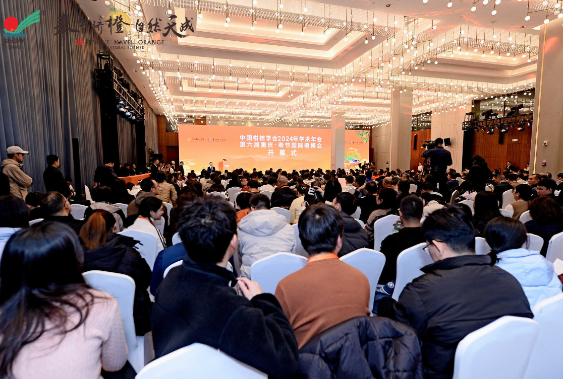 开幕式现场。活动方供图