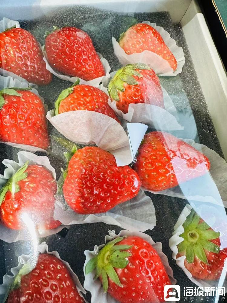 济南历下区一家果蔬店售卖的丹东99空运草莓，9.9元一盒