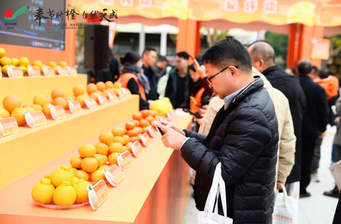 会场外展示的柑橘产品。活动方供图