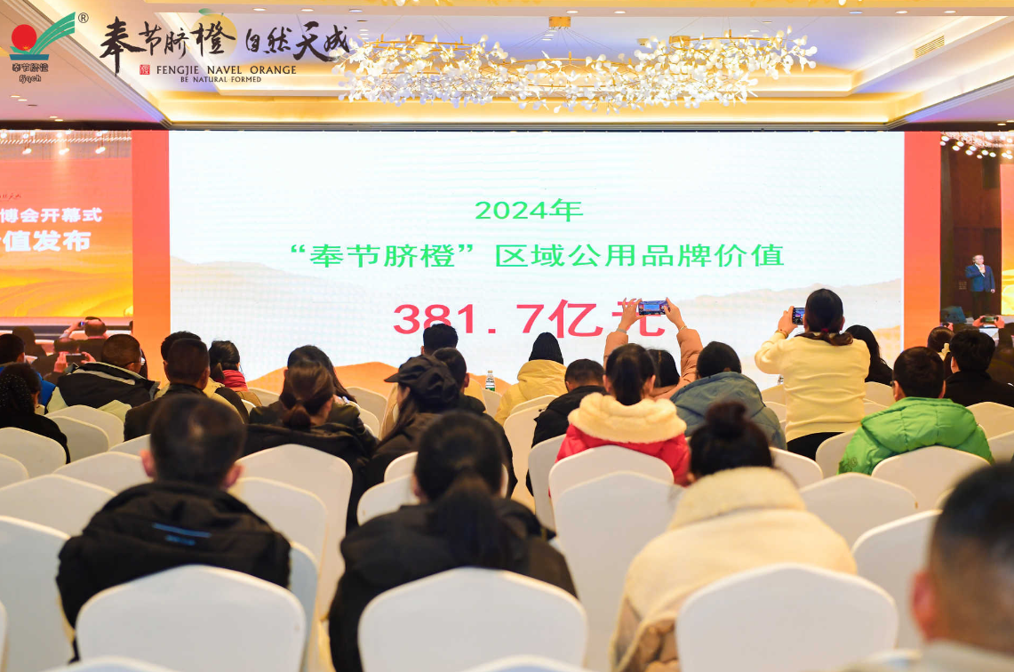 大会现场公布奉节脐橙的区域公用品牌价值。主办方供图