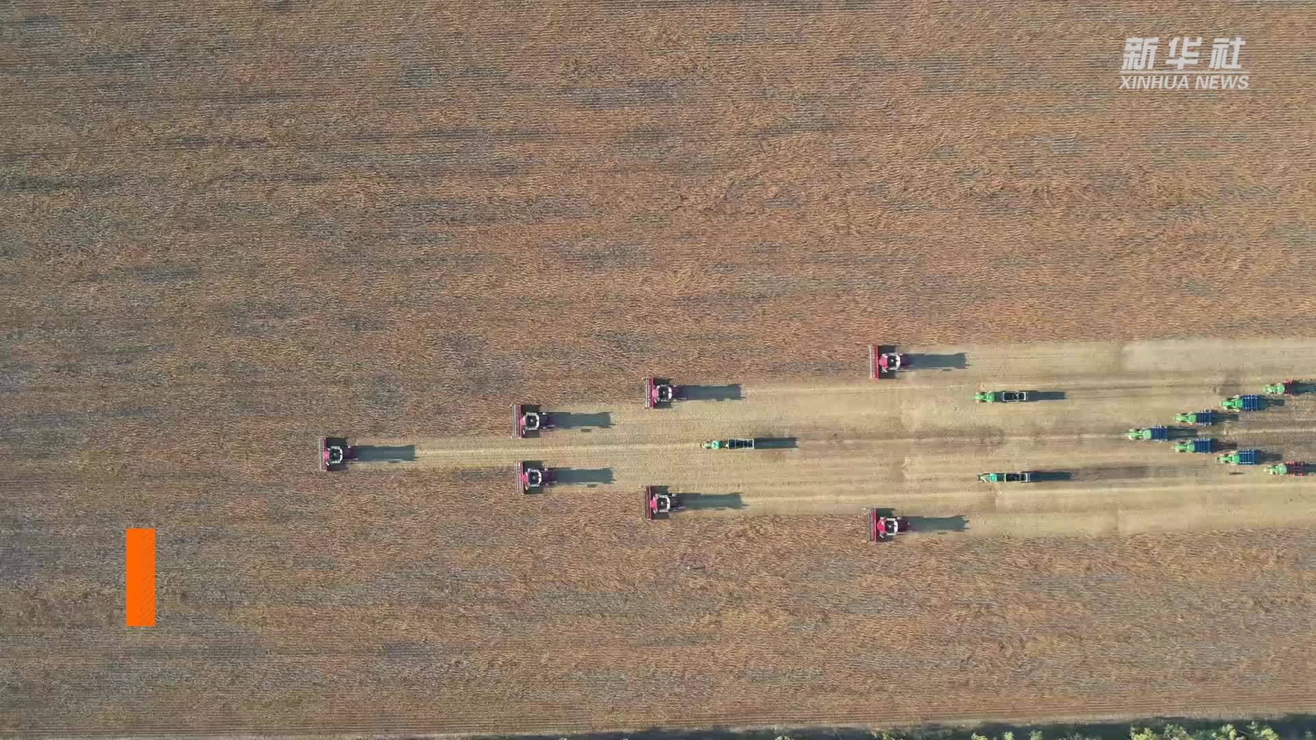 北大荒集团粮食总产457.65亿斤 实现“二十一连丰”