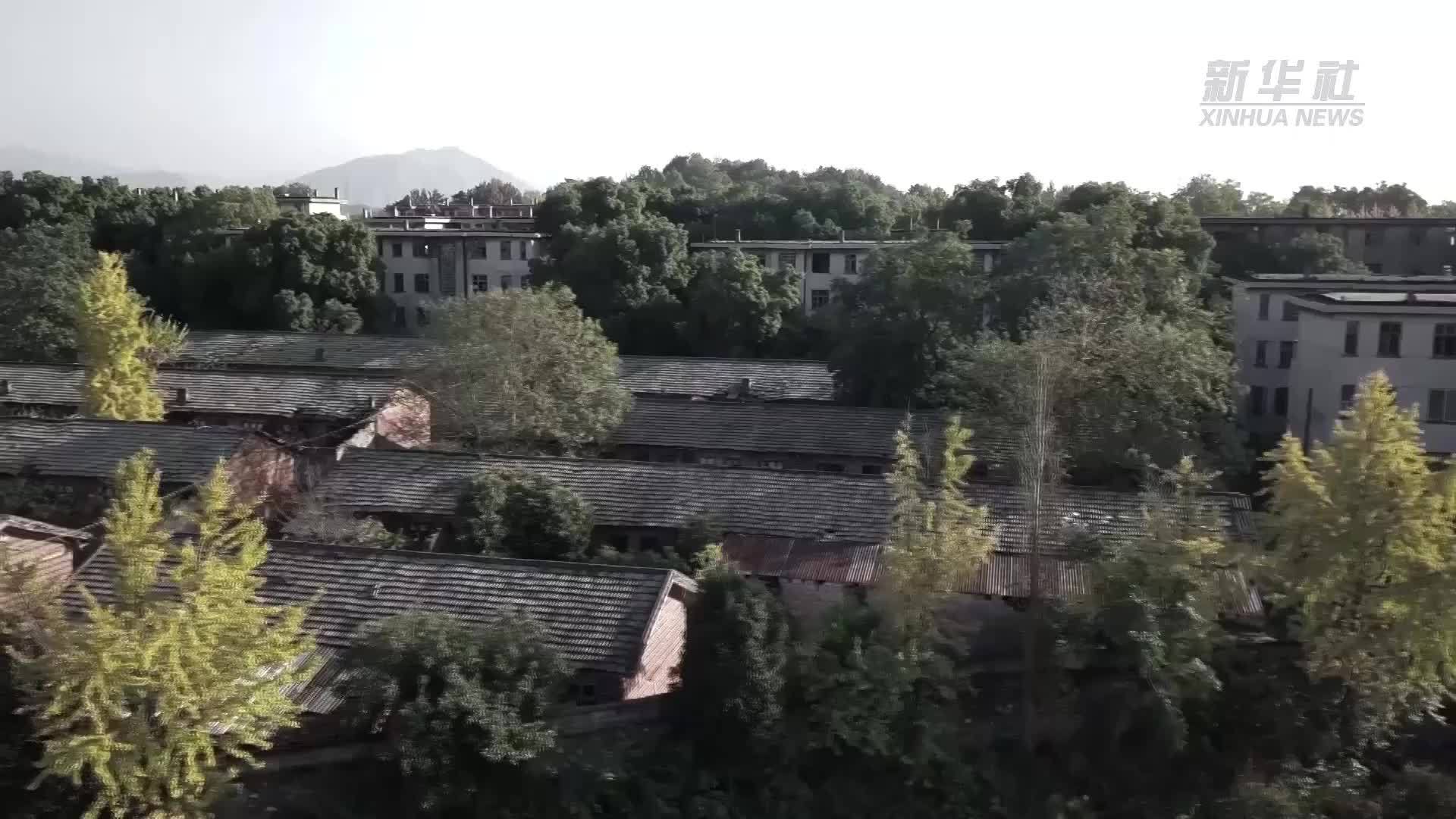 微电影|一场错过的电影