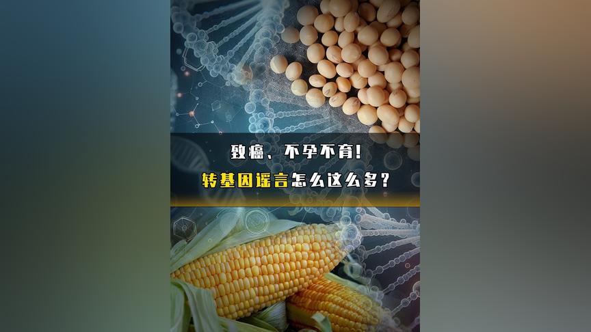 致癌、不孕不育！转基因谣言怎么这么多？#转基因农作物有何害处