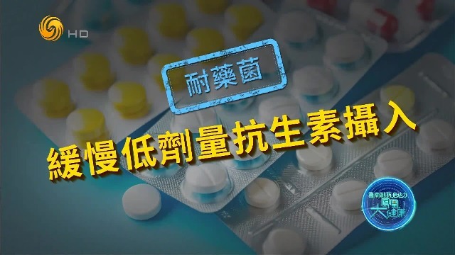 提高免疫力，警惕缓慢低剂量的抗生素摄入