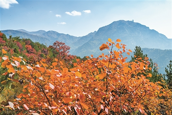 灵石县石膏山景区。