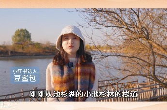 漫步池杉湖畔 乘舟穿梭红杉间 自然风光令人难以忘怀！