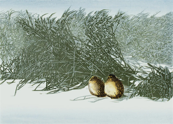 付百川 《细语》 2016 版画