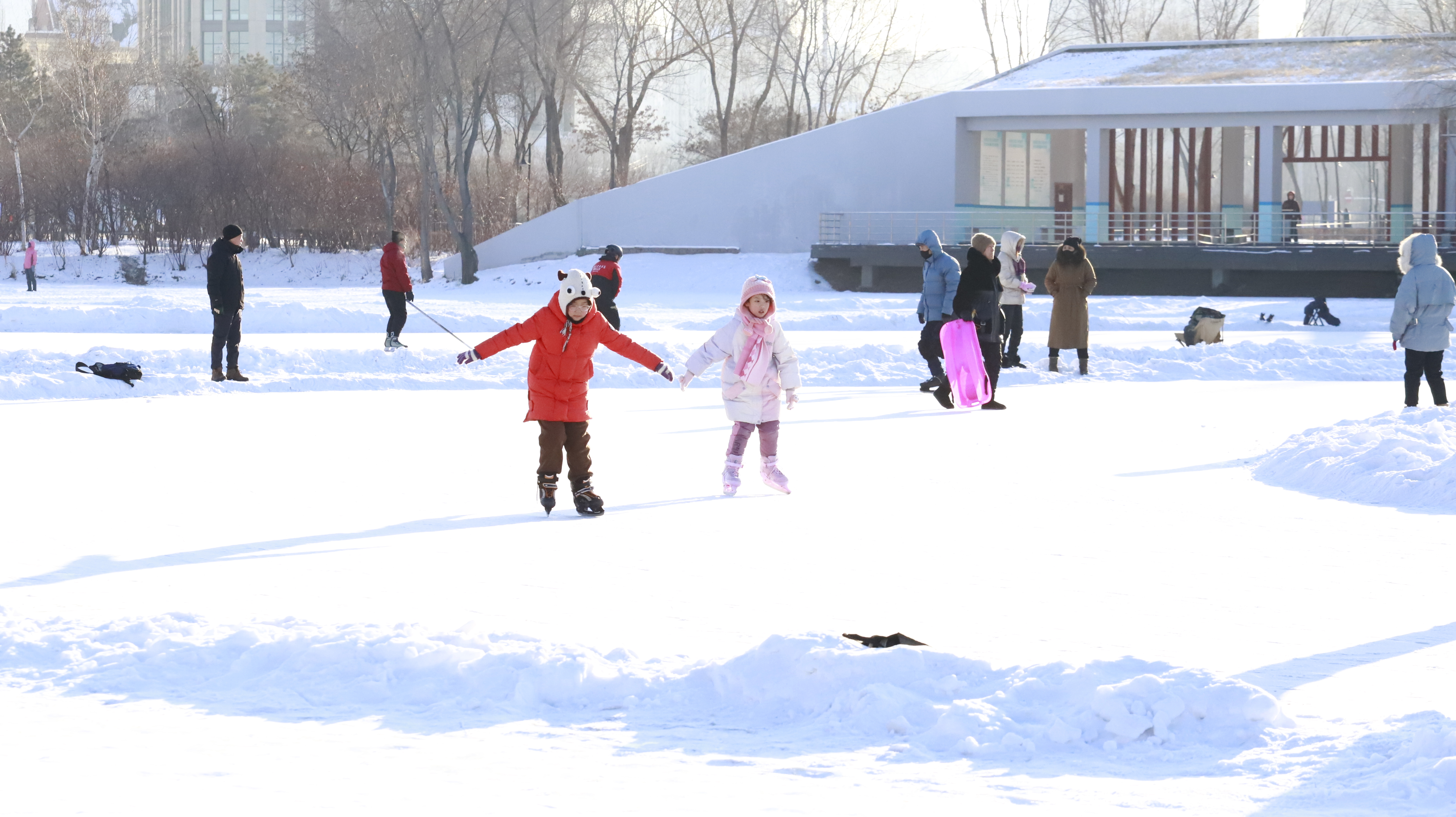 哈尔滨人开始全面展示技能!网友:天生的吗?快来看看你家附近的冰场吧