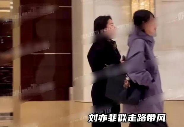刘亦菲和陈金飞酒店聚餐，刘亦菲一身黑衣又飒又美，陈金飞状态好