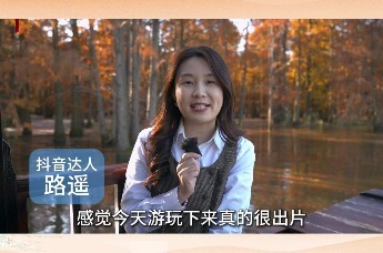 捕捉池杉光影 让每一刻都成为永恒——来安池杉湖湿地公园等你定格！