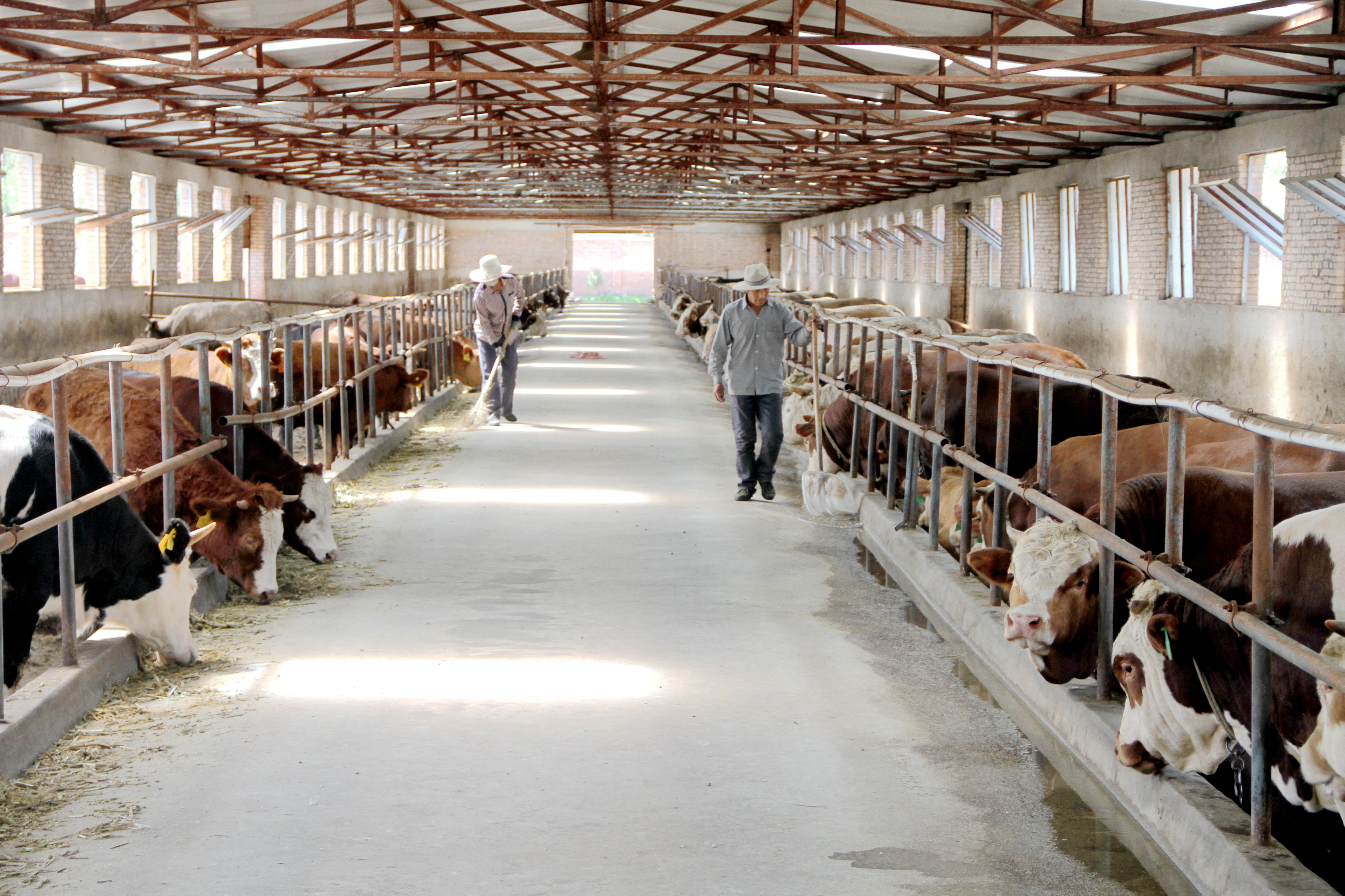 “十四五”收官之年 华亭如何交出“经”彩答卷