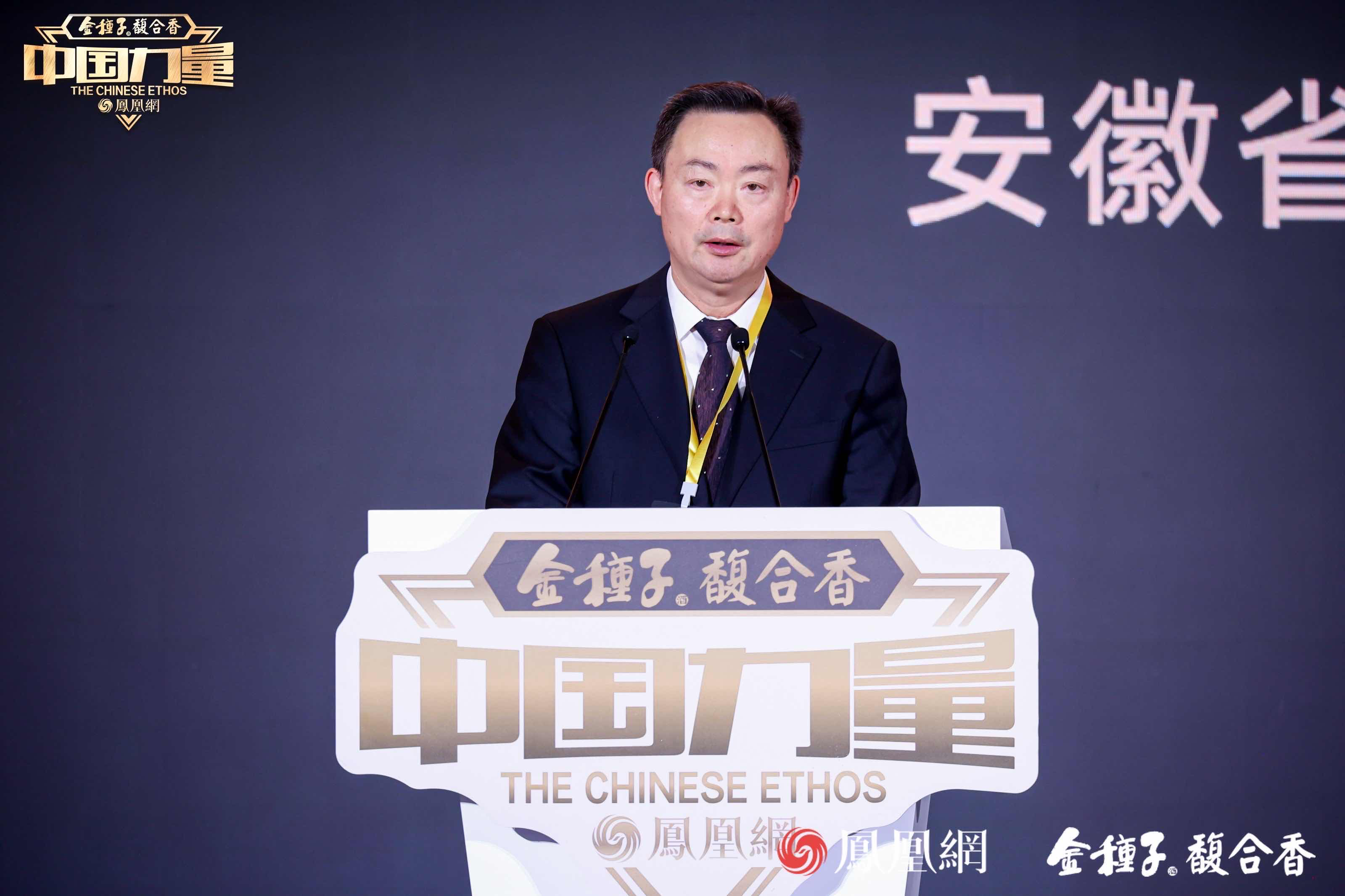 安徽省阜阳市人大常委会党组副书记、副主任、一级巡视员王玉峰致辞