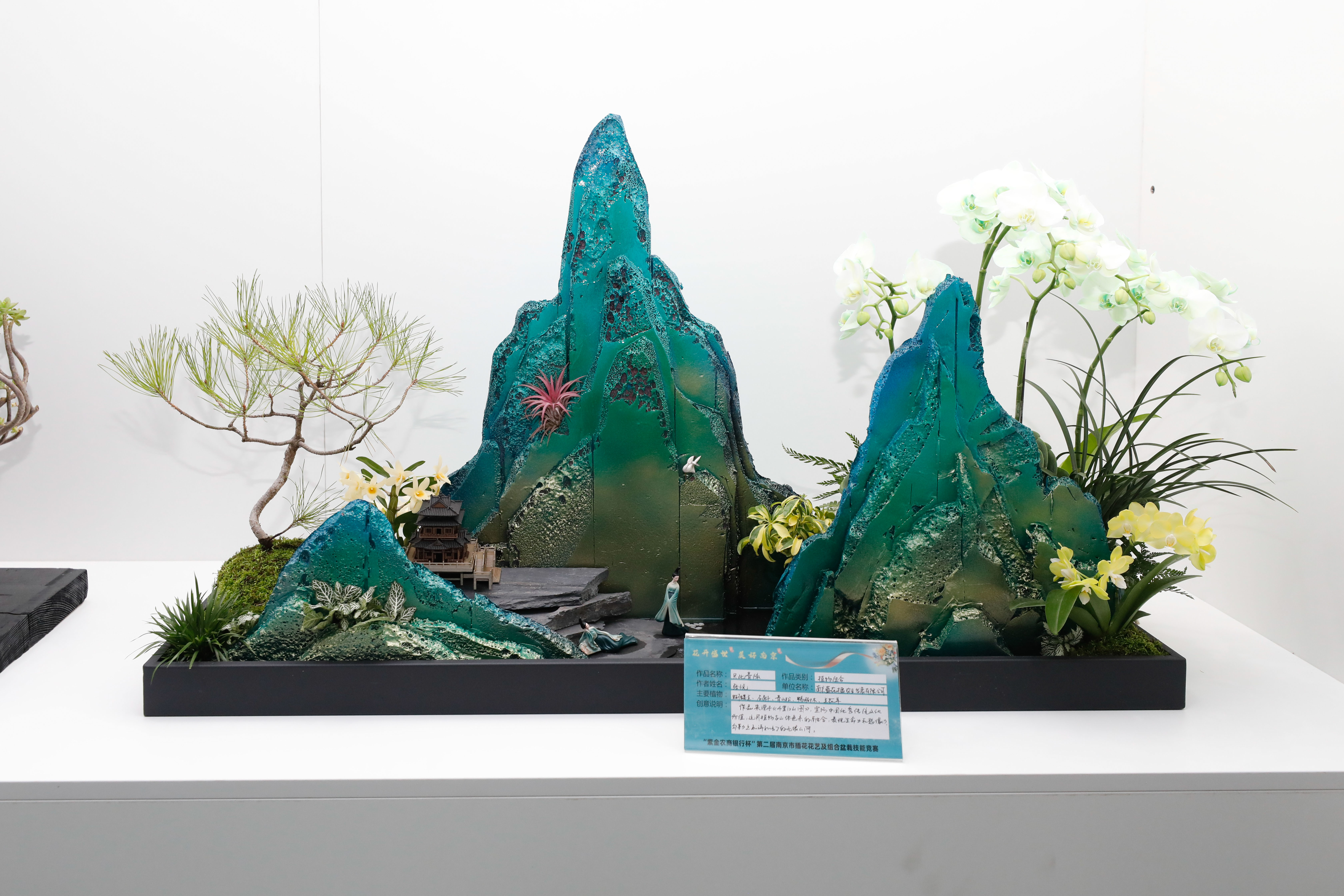 花满金陵,绽放美好生活!南京市第二届插花花艺及组合盆栽技能竞赛圆满举办