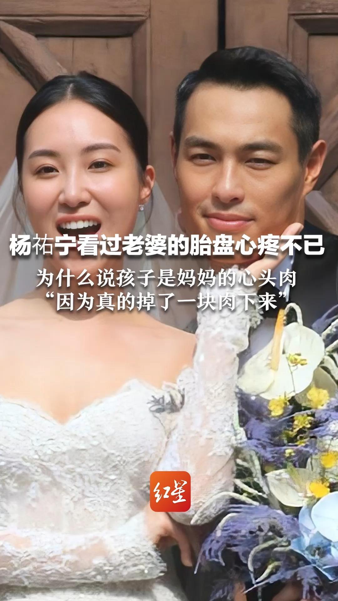 杨祐宁看过老婆的胎盘心疼不已，为什么说孩子是妈妈的心头肉“因为真的掉了一块肉下来”