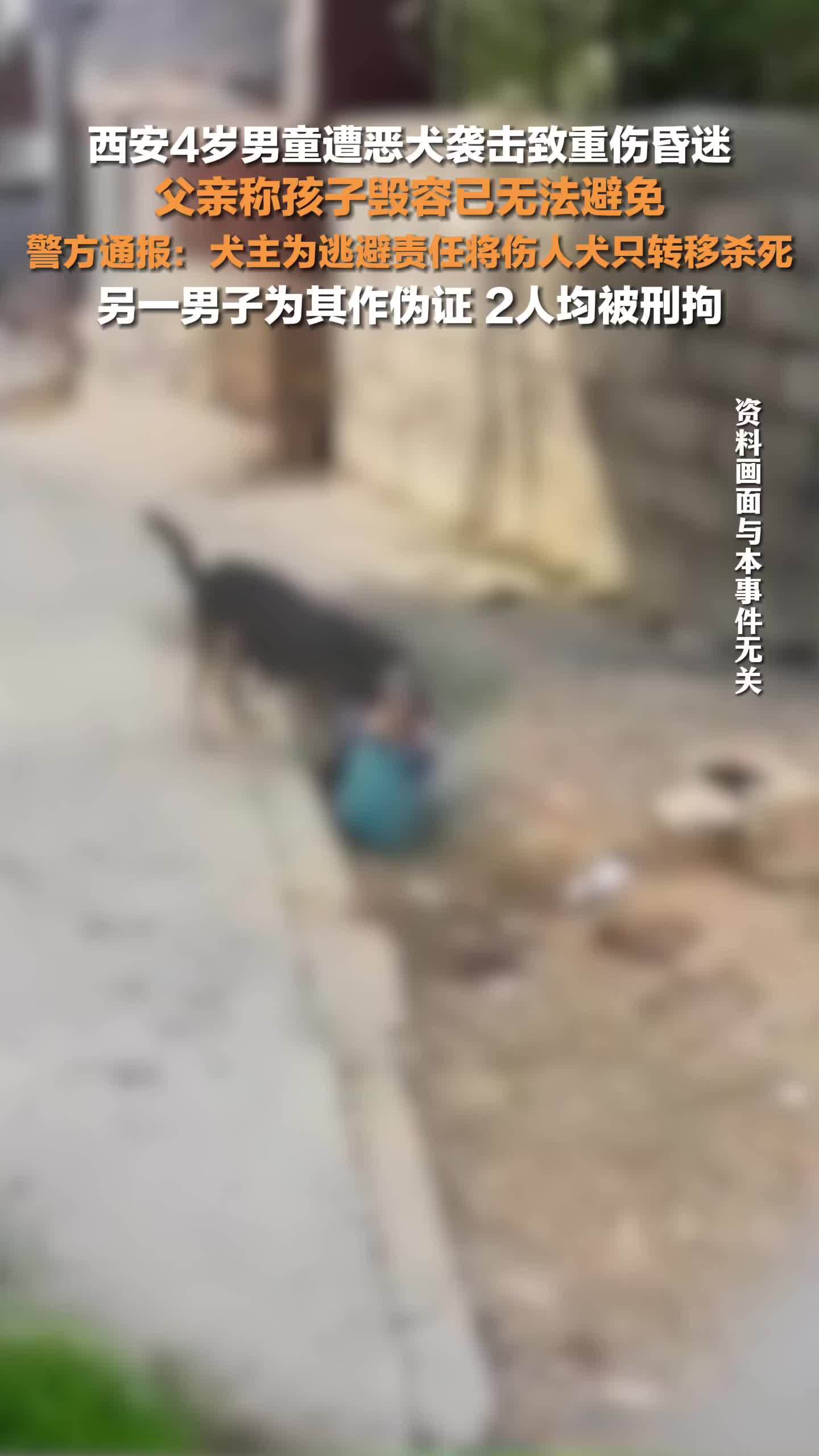 警方通报恶犬咬伤男童 ：犬主将伤人犬只转移杀死，另一男子作伪证，2人被刑拘