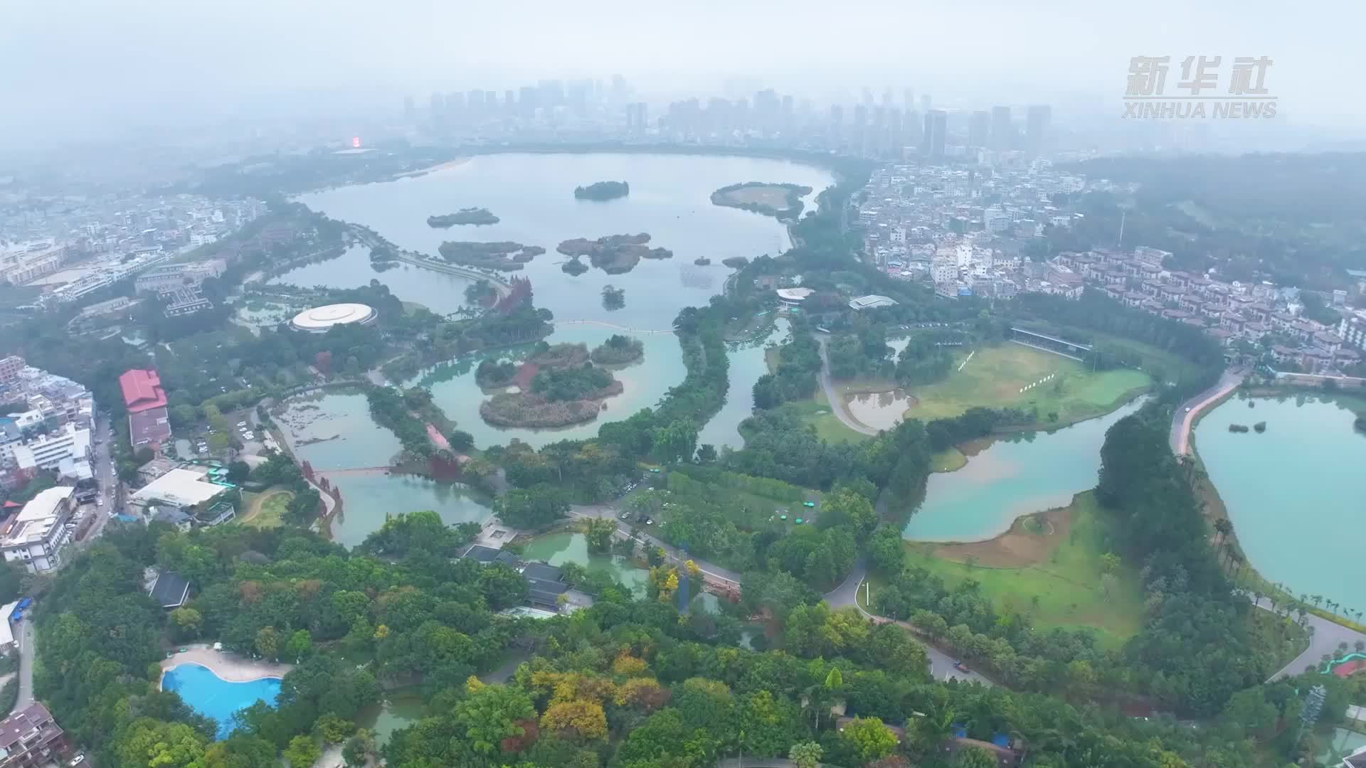 云南弥勒：冬日湖上百鸟欢